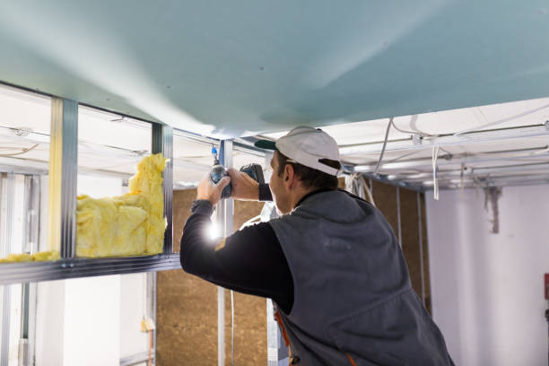 Best Insulation Installation Cost  in Dublin, TX