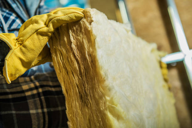 Best Best Insulation Companies  in Dublin, TX