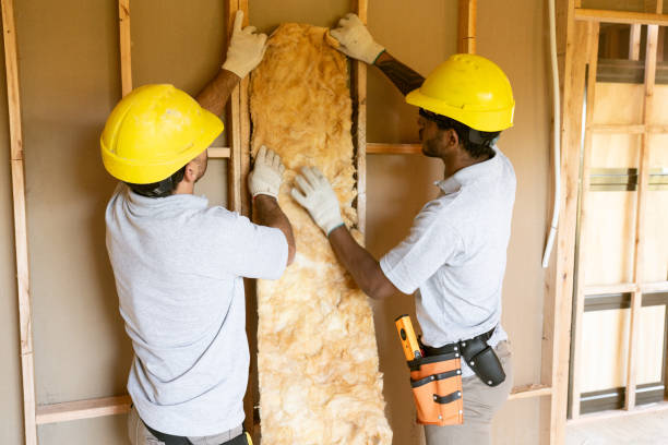 Best Best Insulation Companies  in Dublin, TX