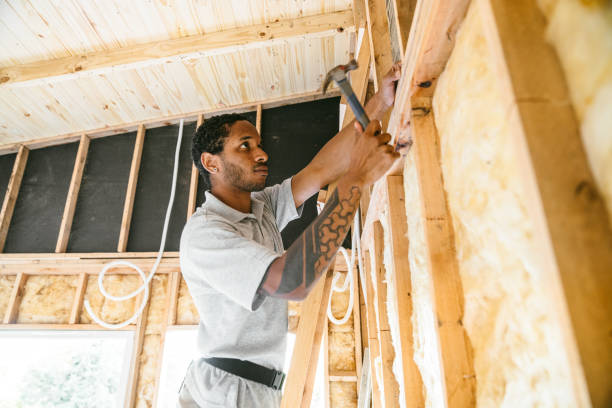Best Insulation Replacement Services  in Dublin, TX