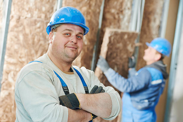 Best Spray Foam Insulation  in Dublin, TX