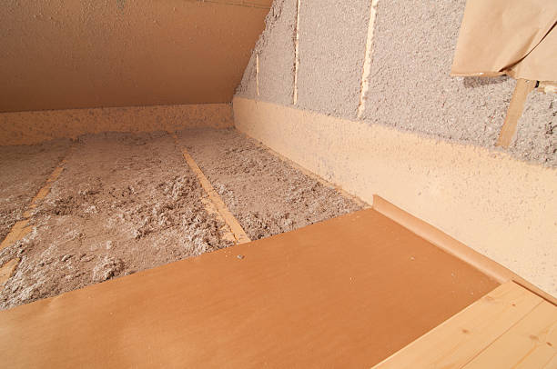 Best Insulation Inspection Services  in Dublin, TX