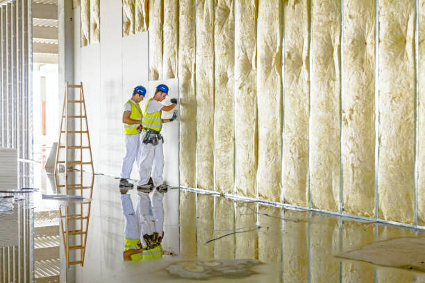 Best Home Insulation Services  in Dublin, TX